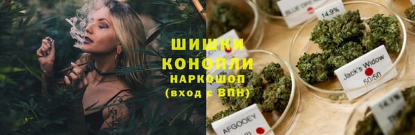 PSILOCYBIN Вязники